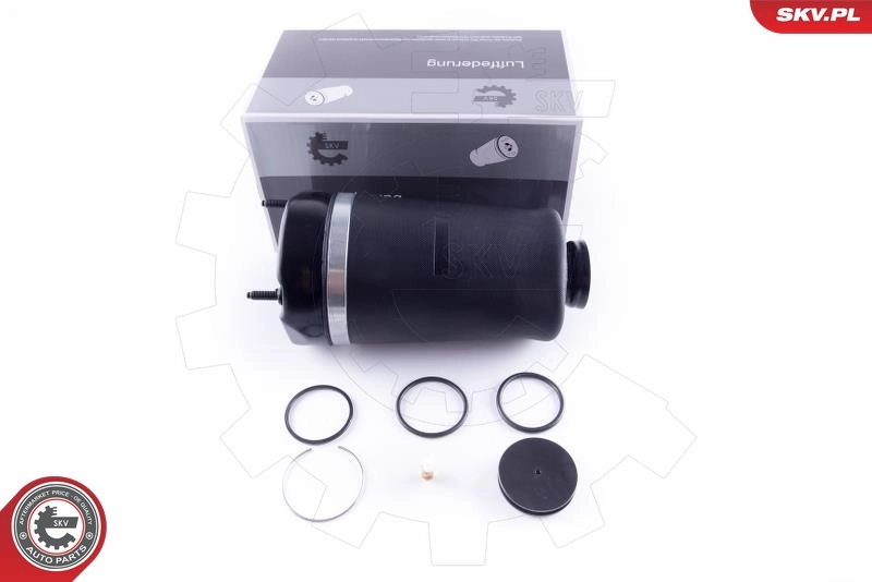 Air Spring, suspension